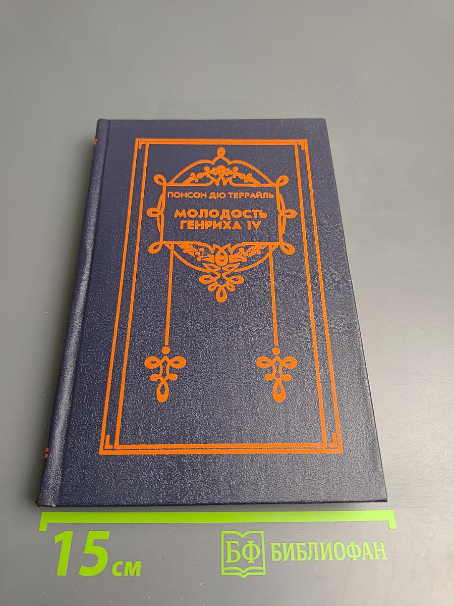 Молодость Генриха IV. Том 5