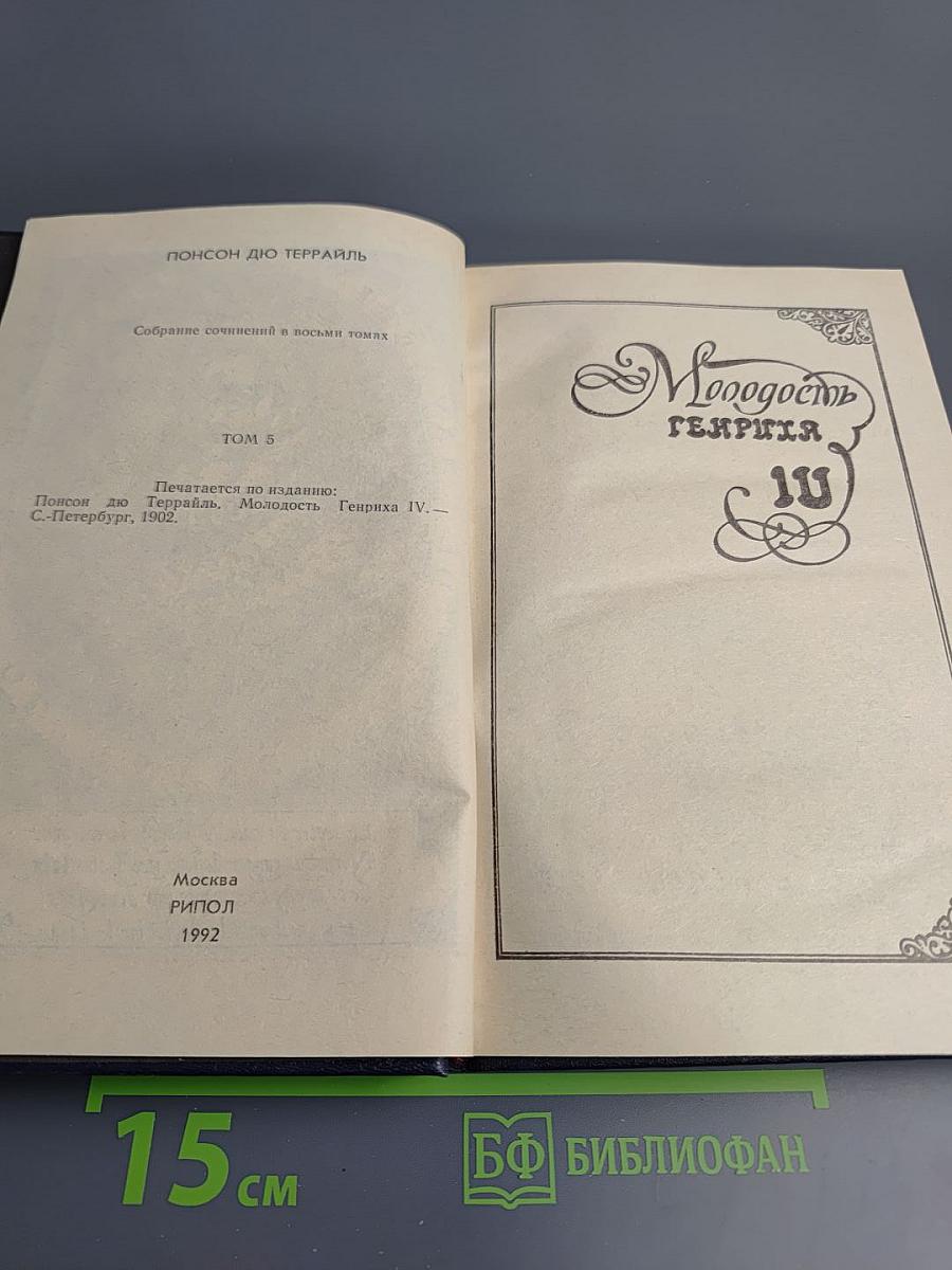 Молодость Генриха IV. Том 5