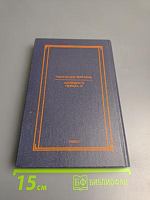 Молодость Генриха IV. Том 5