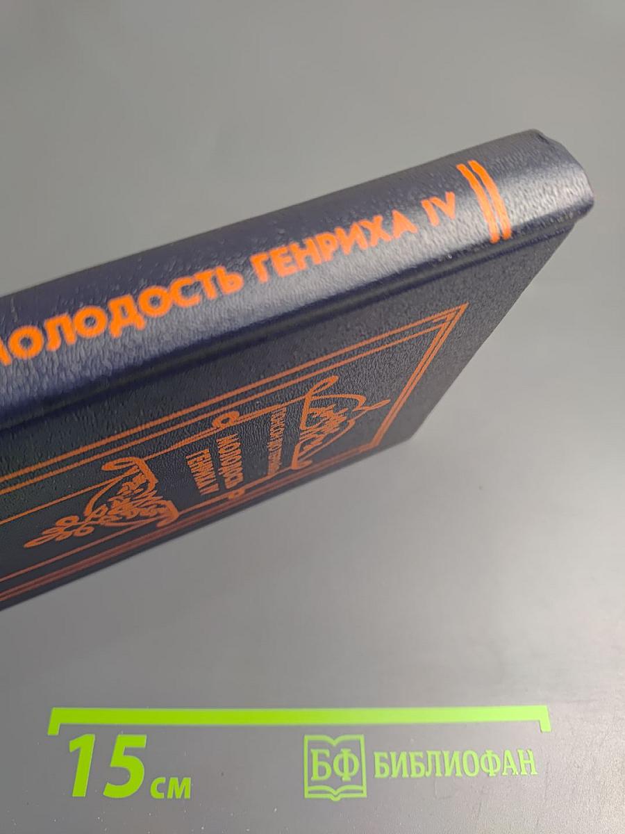 Молодость Генриха IV. Том 5