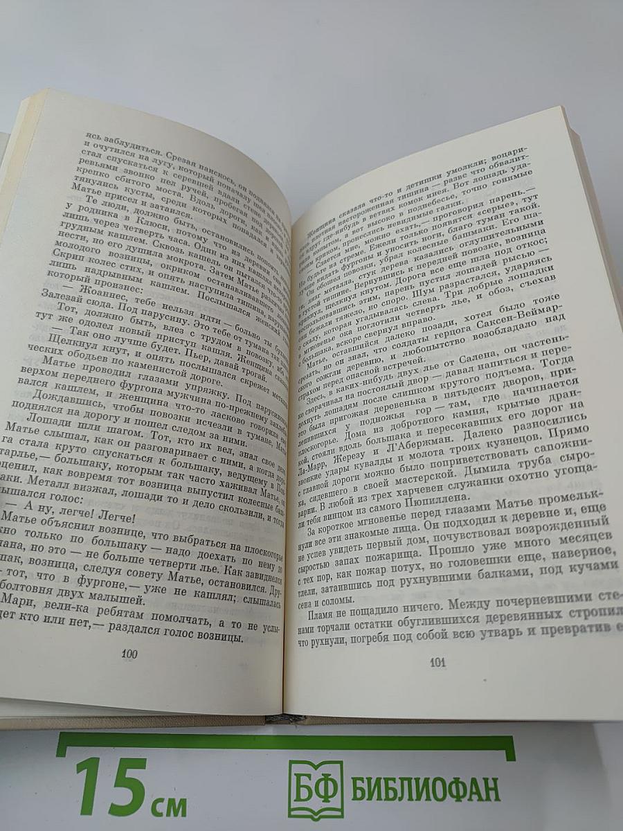 Пора волков