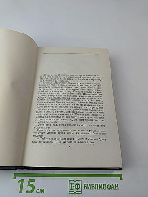 Собрание сочинений в 30-ти томах. Том 5. Повести, рассказы, очерки, стихи 1900-1906