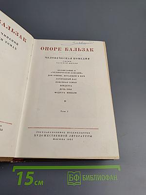 Человеческая комедия. Частная жизнь. Том 1
