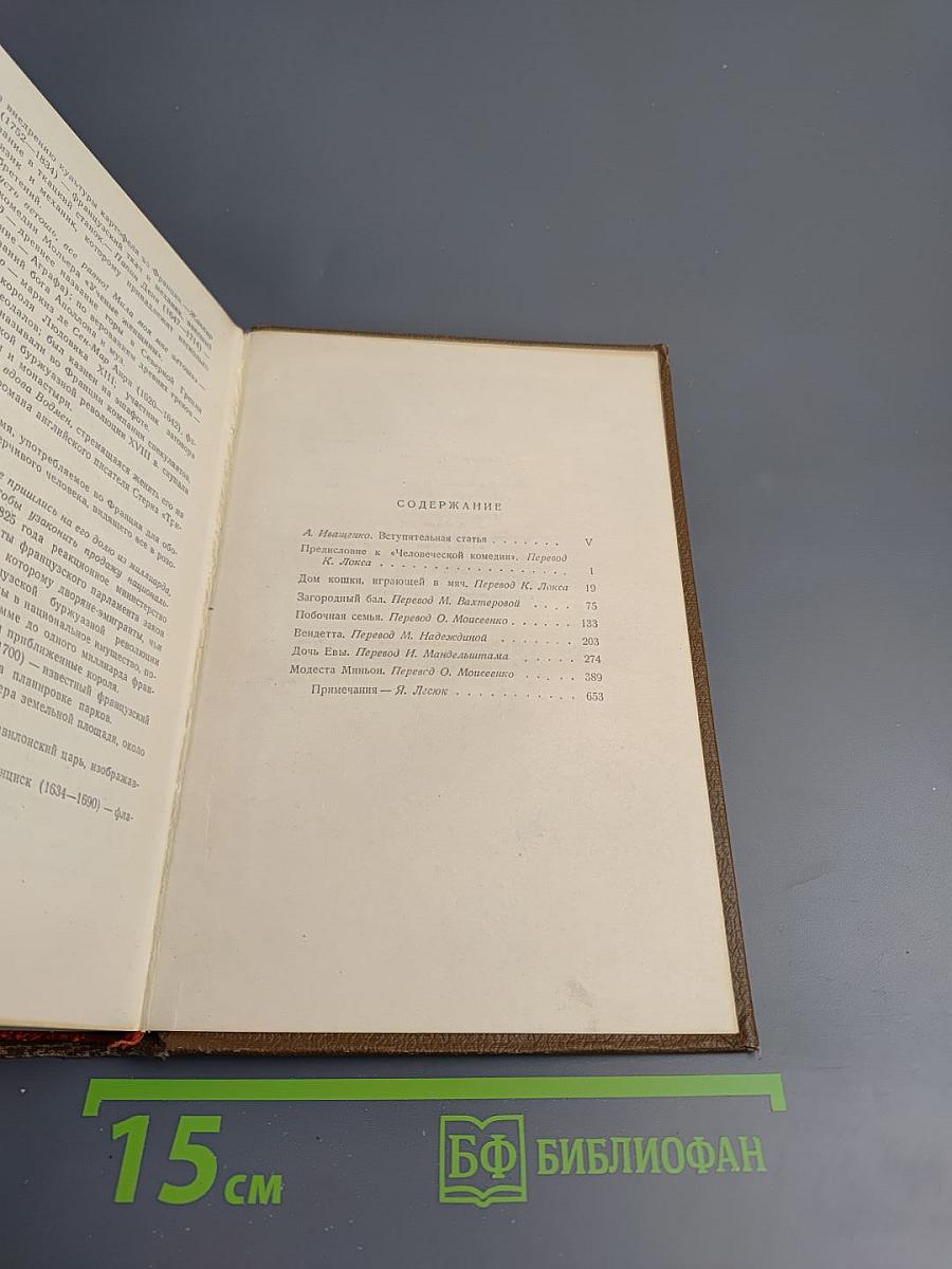 Человеческая комедия. Частная жизнь. Том 1