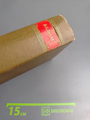 Человеческая комедия. Частная жизнь. Том 1