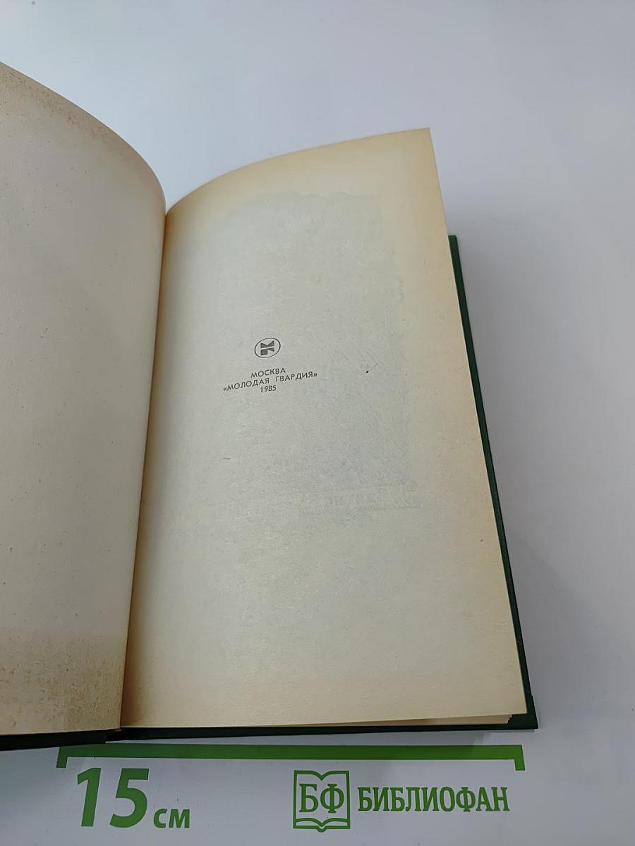 Сова Минервы