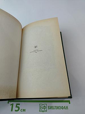 Сова Минервы