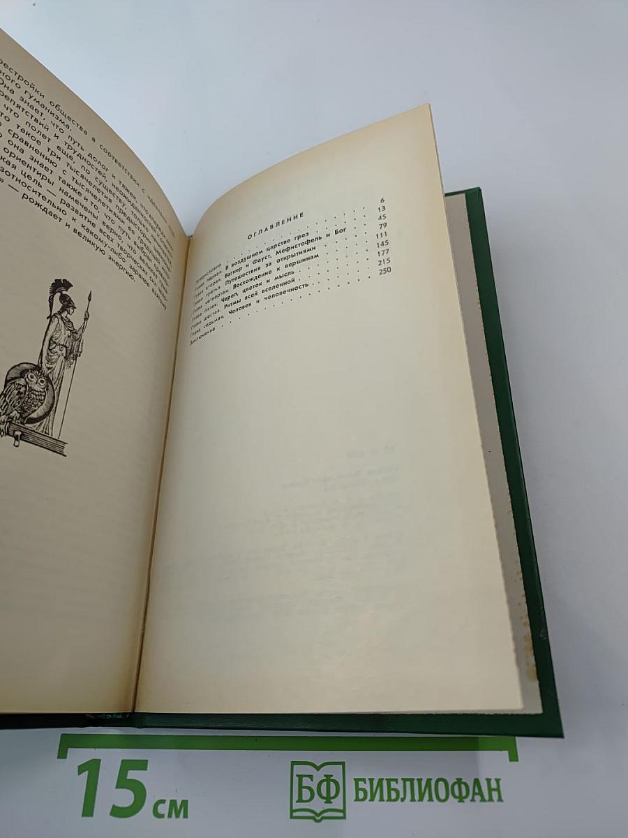 Сова Минервы