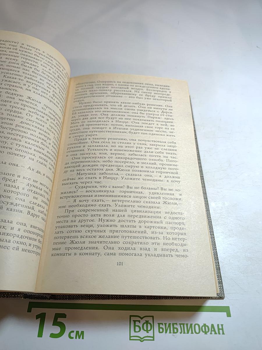 Проспер Мериме. Избранное: Новеллы, Хроника царствования Карла IX