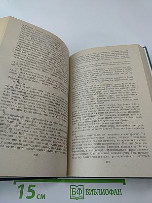 Жажда жизни. Повесть о Винсенте Ван Гоге
