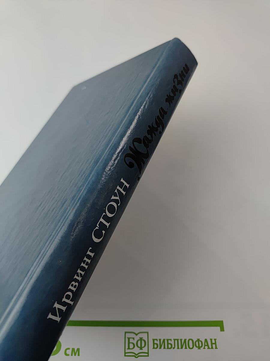 Жажда жизни. Повесть о Винсенте Ван Гоге