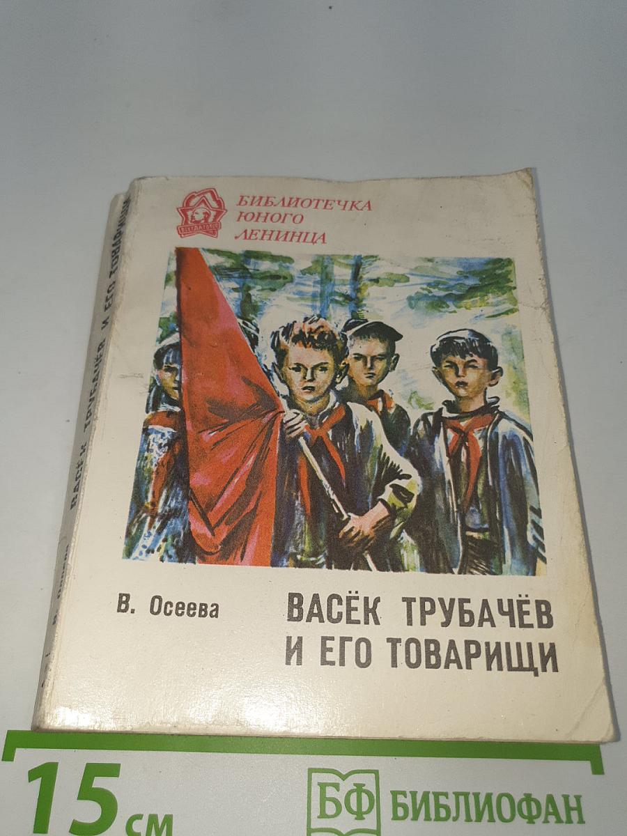 Васёк Трубачёв и его товарищи. Книга 2