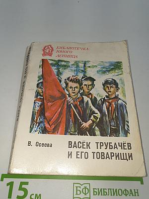 Васёк Трубачёв и его товарищи. Книга 2