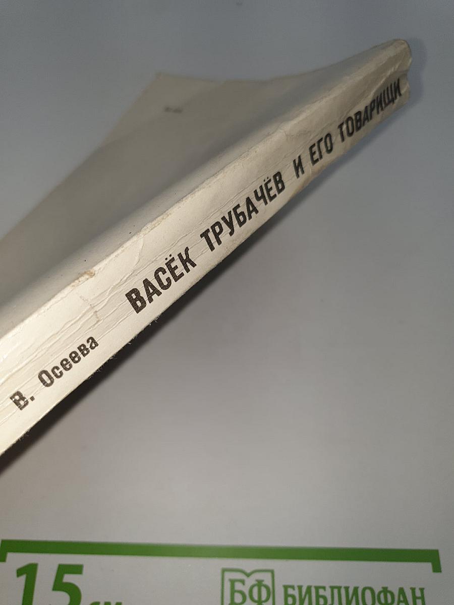 Васёк Трубачёв и его товарищи. Книга 2