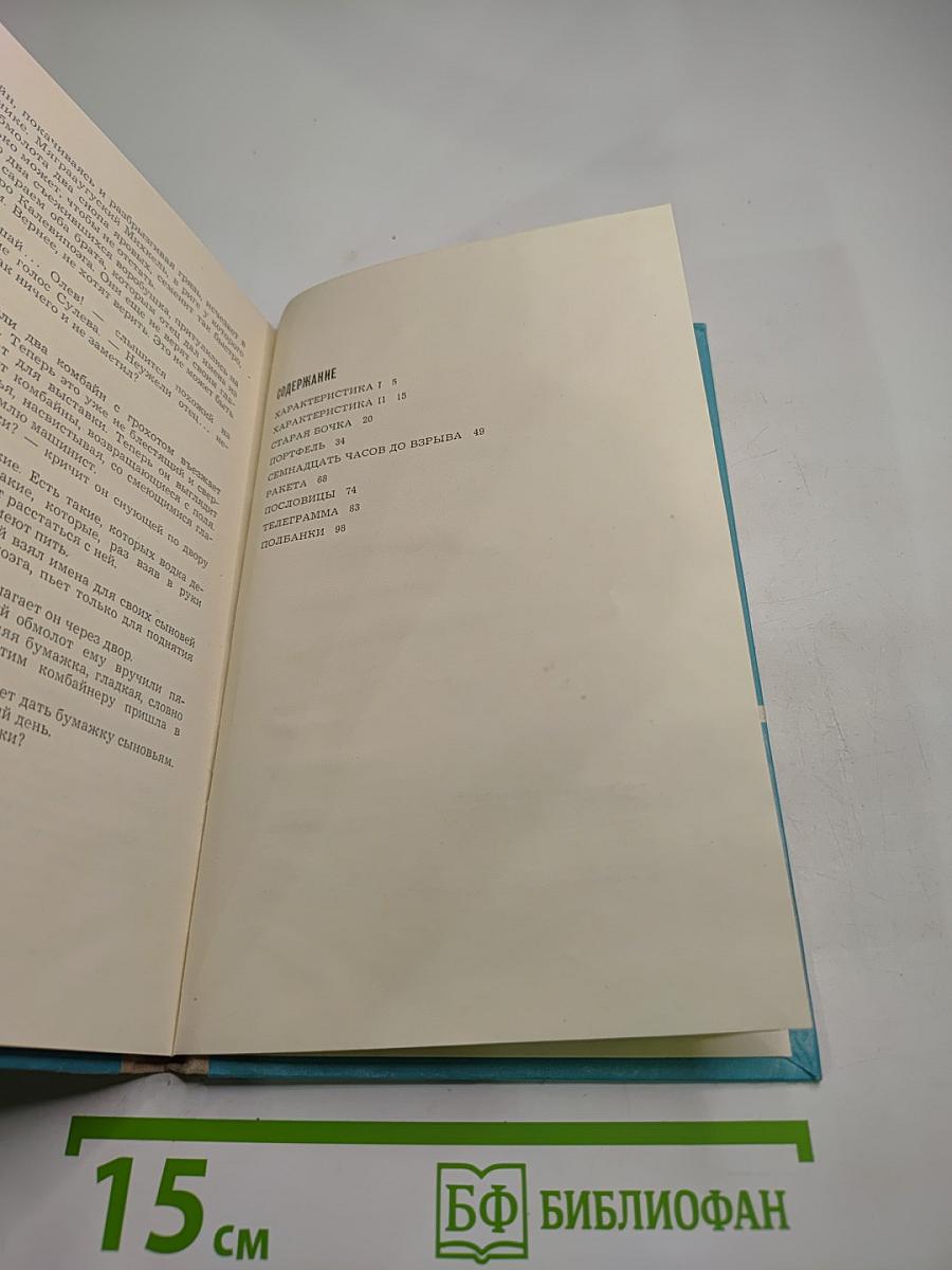 Семнадцать часов до взрыва