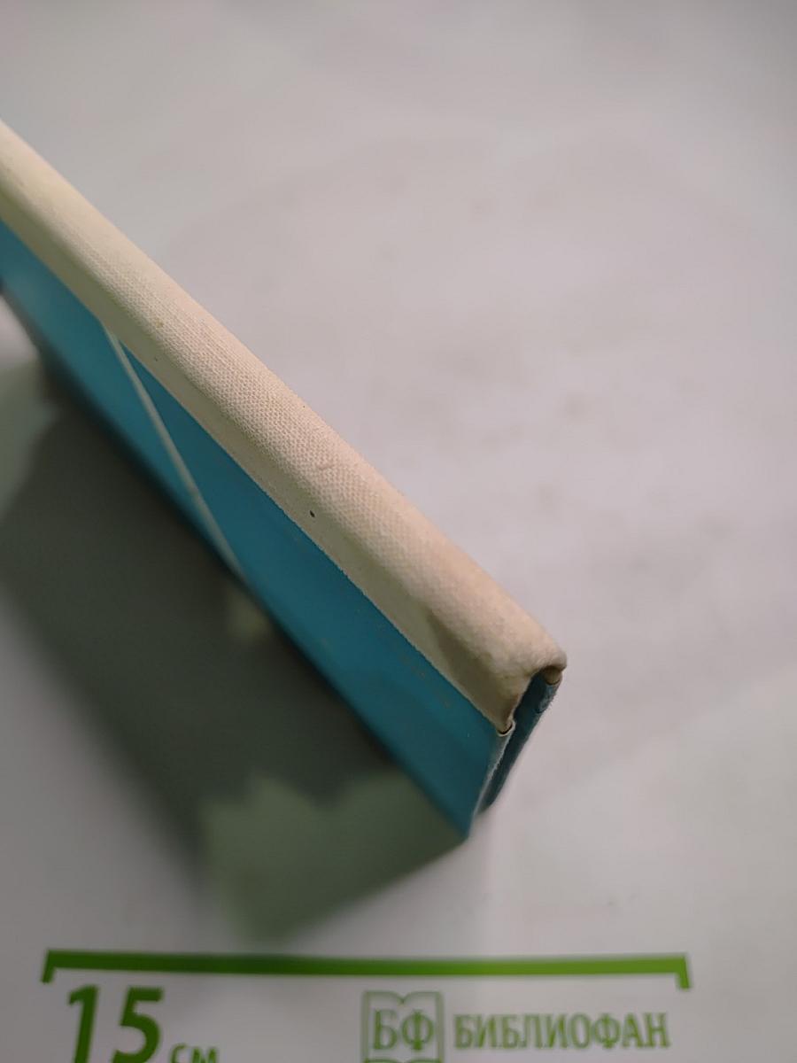 Семнадцать часов до взрыва