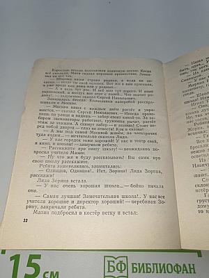 Васёк Трубачёв и его товарищи. Книга 2