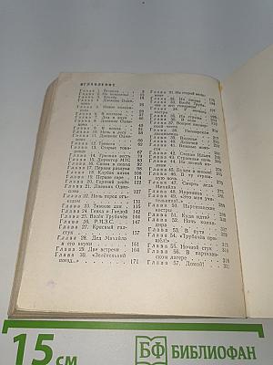 Васёк Трубачёв и его товарищи. Книга 2