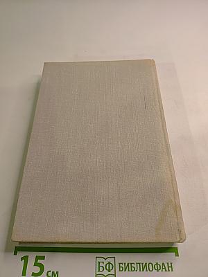 Черная шаль