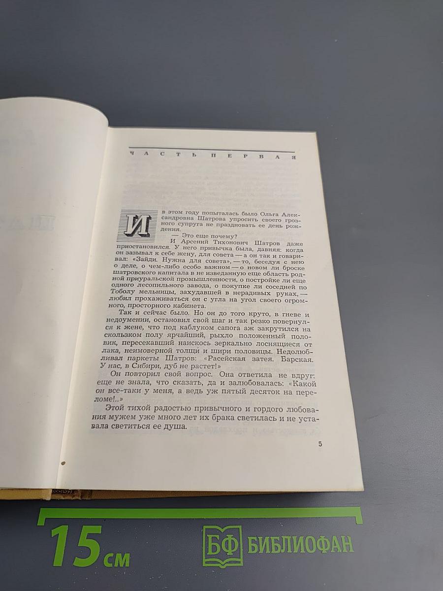 Страшный суд. Эпопея в двух романах. Книга первая: Шатровы
