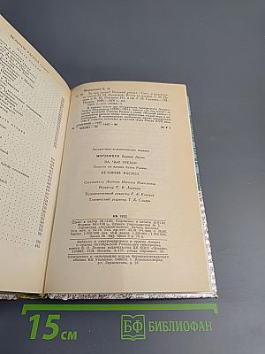 За чьи грехи? Великий раскол