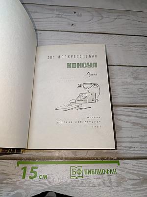 Консул