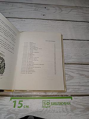 Консул