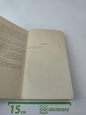 Покушение на миражи. Чистые воды Китежа