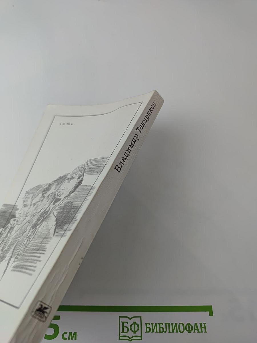 Покушение на миражи. Чистые воды Китежа