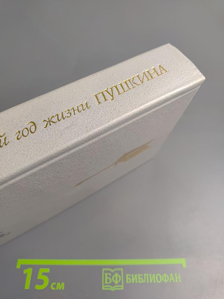 Последний год жизни Пушкина