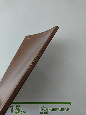 ДЪЛО Игумены Митрофании