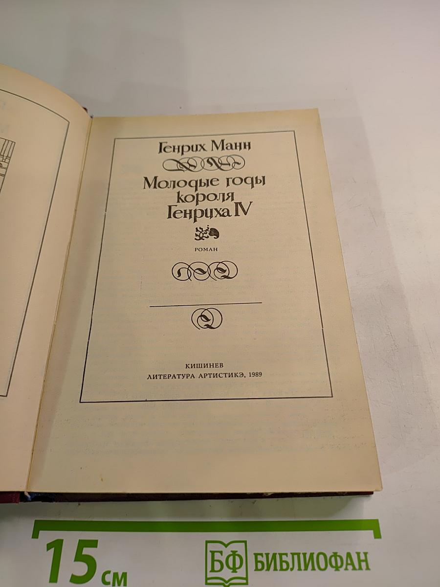 Молодые годы короля Генриха IV