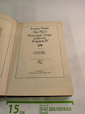 Молодые годы короля Генриха IV