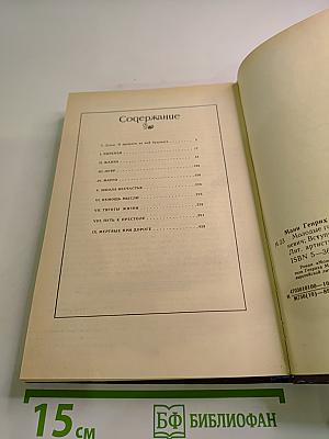 Молодые годы короля Генриха IV