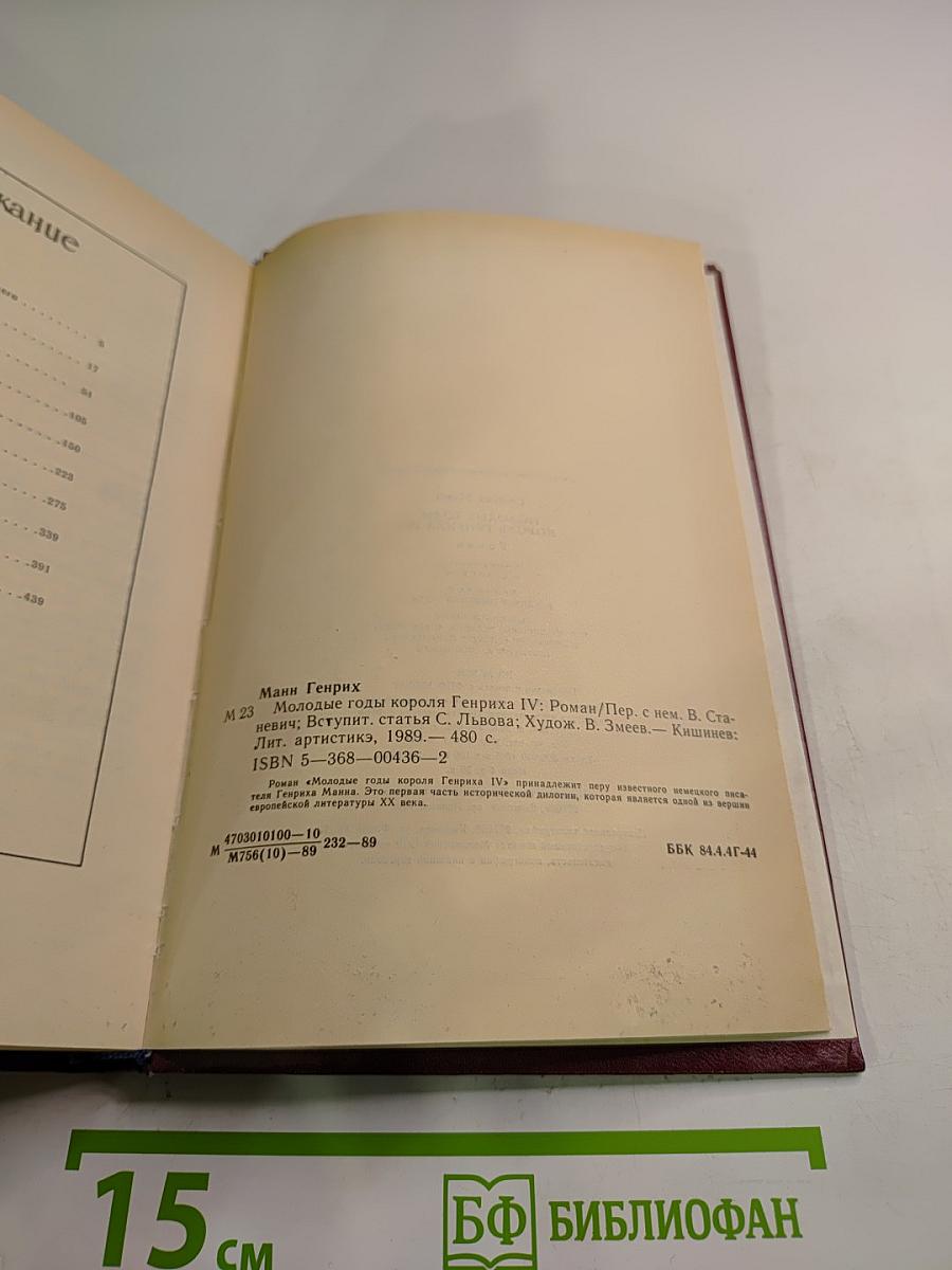 Молодые годы короля Генриха IV