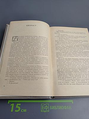 Окно, открытое в сад