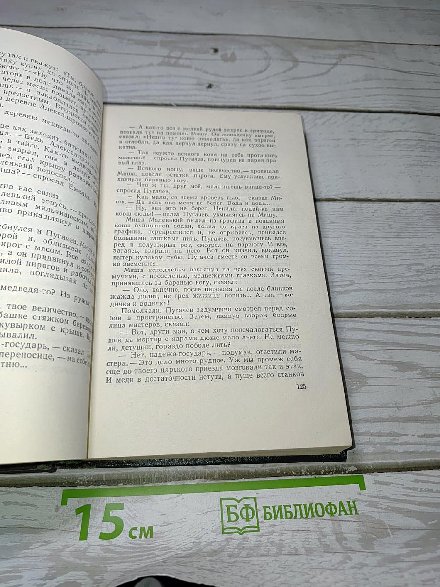 Емельян Пугачев. Книга третья (Собрание сочинений)
