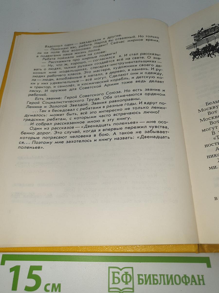 Двенадцать поленьев
