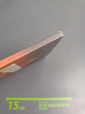 Пираты. Иллюстрированная история морского разбоя