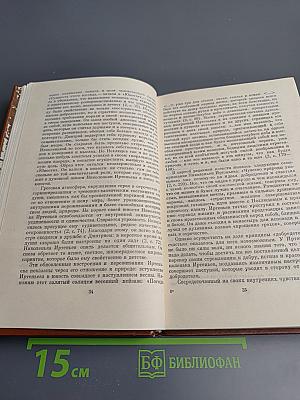 А.Н. Толстой: Из лекций по русской литературе XIX в.