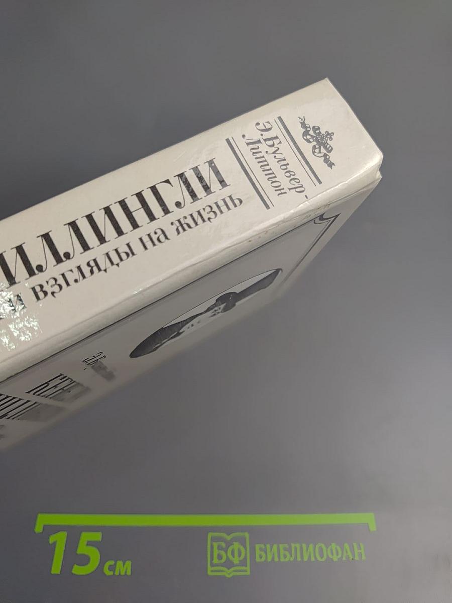 Кенелм Чиллингли. Его приключения и взгляды на жизнь