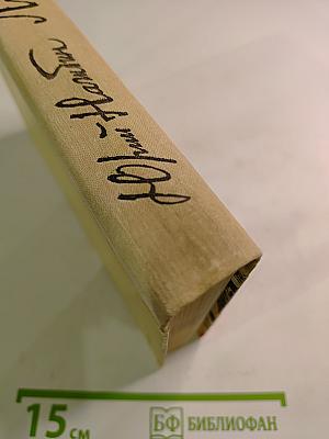 Ливень. Повесть и рассказы