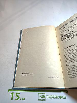 Венец жизни