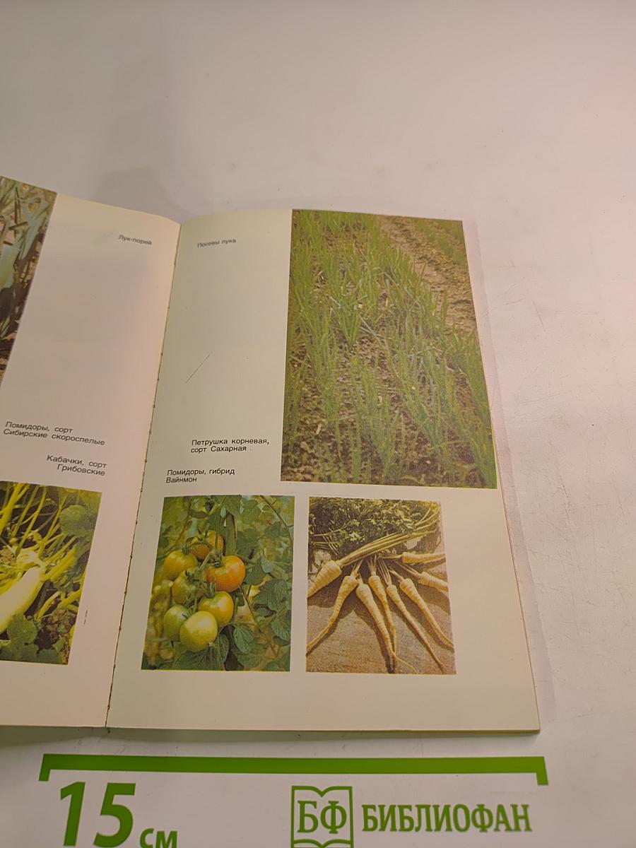 Садово-огородный участок