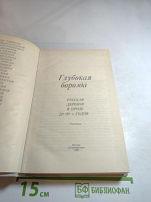 Глубокая борозда