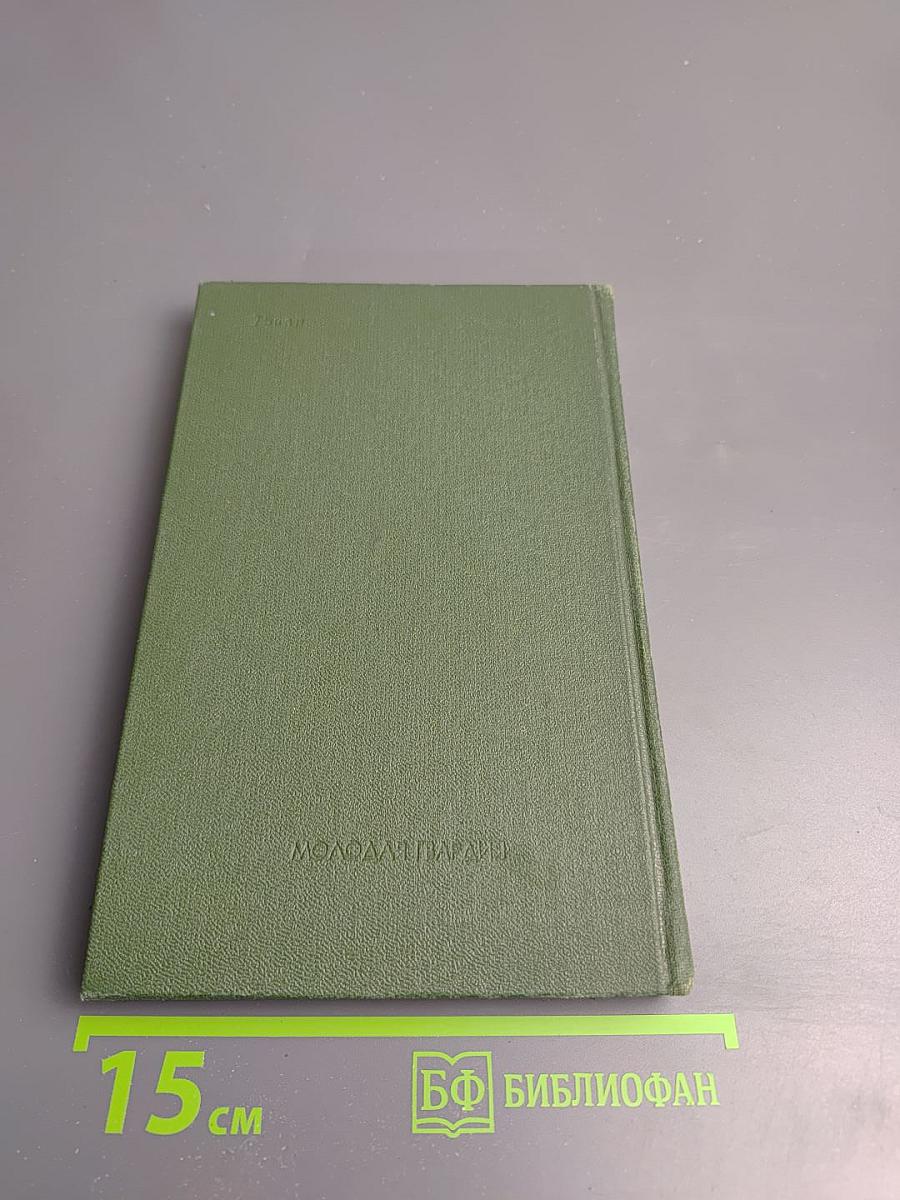 Между людьми и с людьми