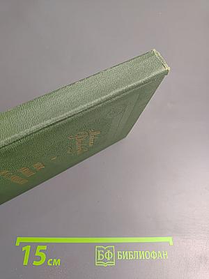 Между людьми и с людьми