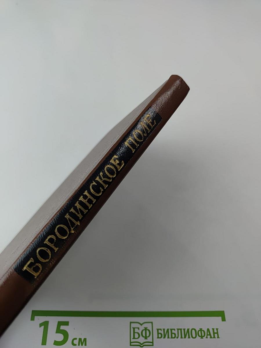 Бородинское поле: 1812 год в русской поэзии (для старшего школьного возраста)