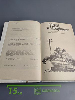 Тени в лабиринте. Смерть отбрасывает тень