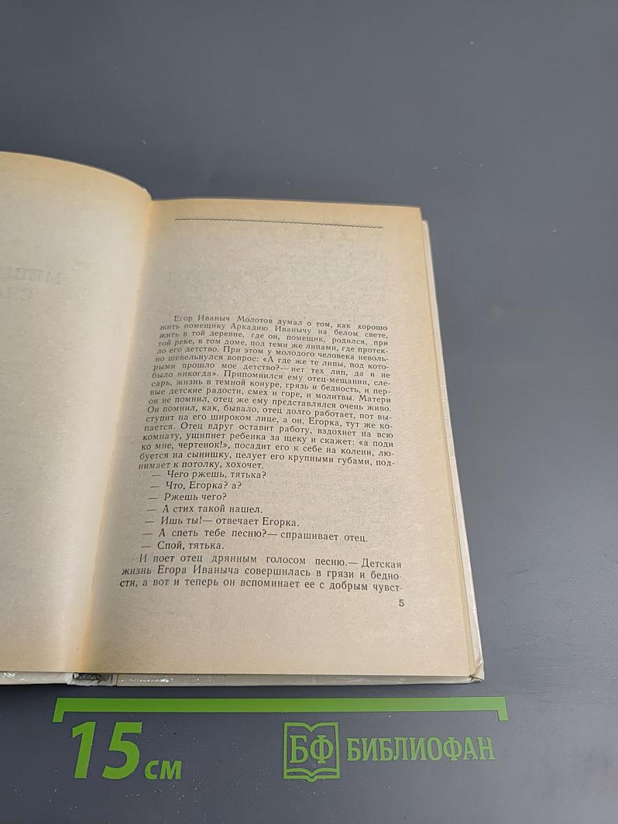 Мещанское счастье. Очерки бурсы